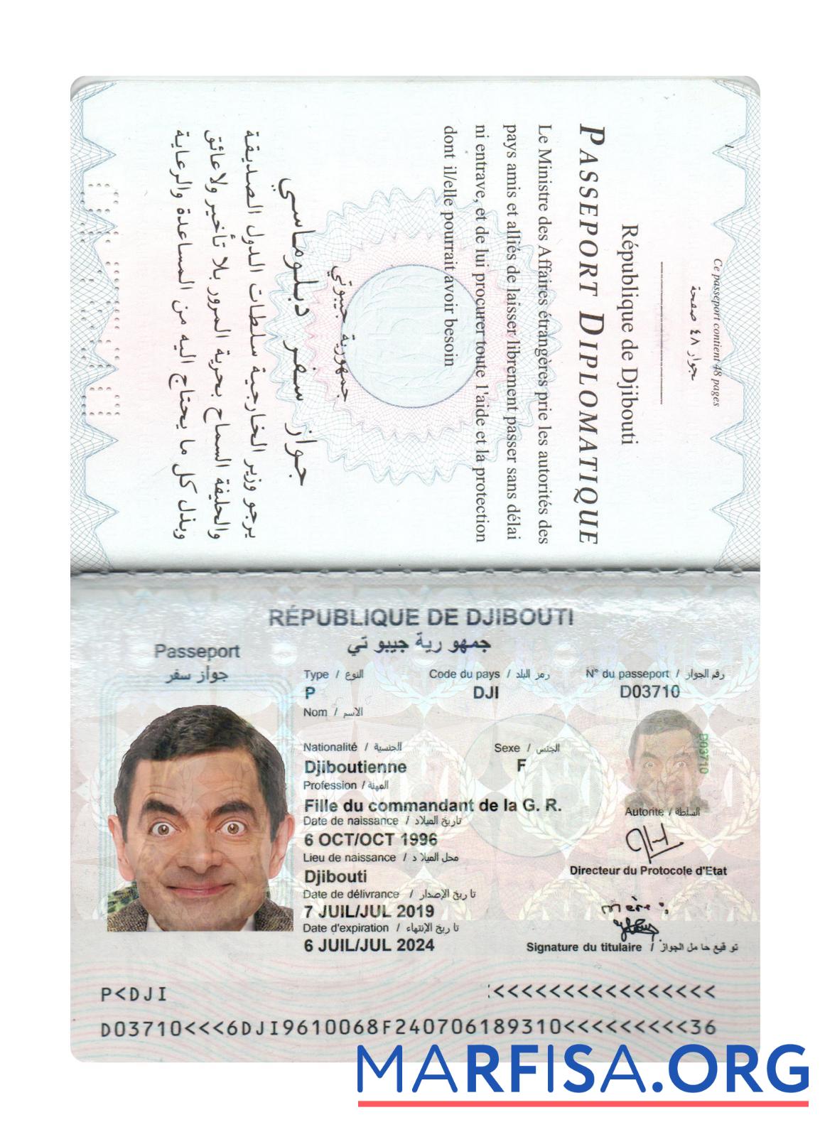 Printable Djibouti passport template